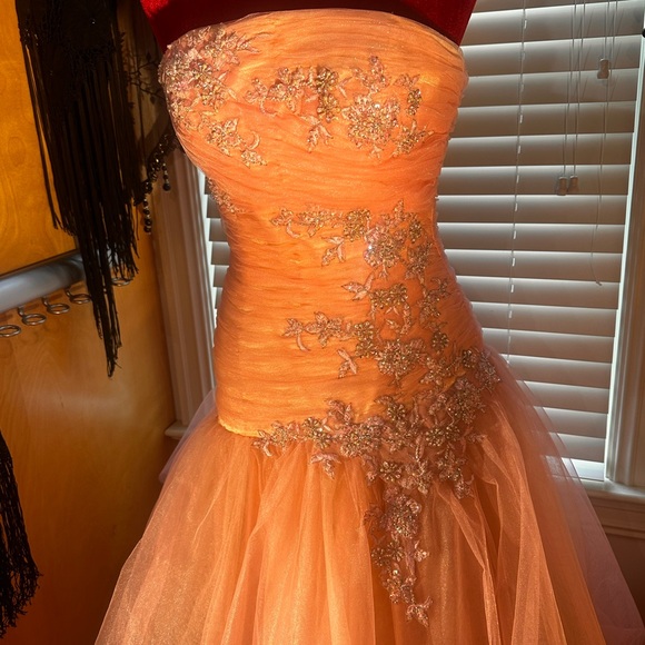 Prom gown size 4 
Great color and sparkle - Picture 6 of 15